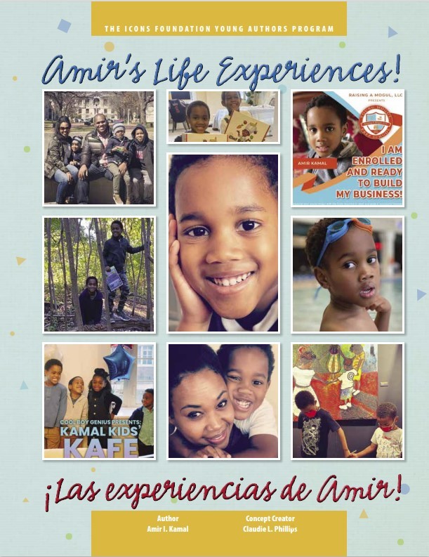 Amir's Life Experiences - Poster